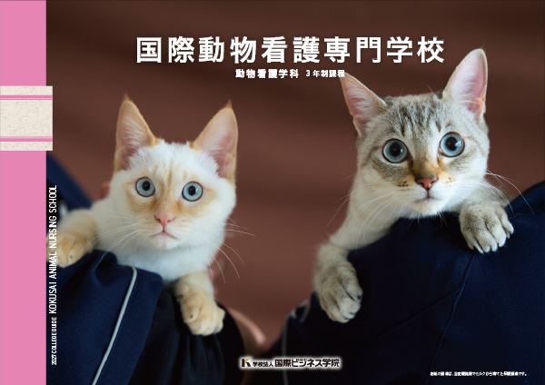 学校案内パンフレット2027