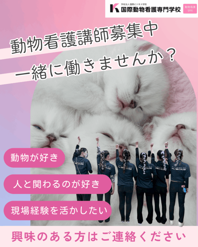 NEWS – 国際動物看護専門学校｜動物看護のスペシャリストへ。